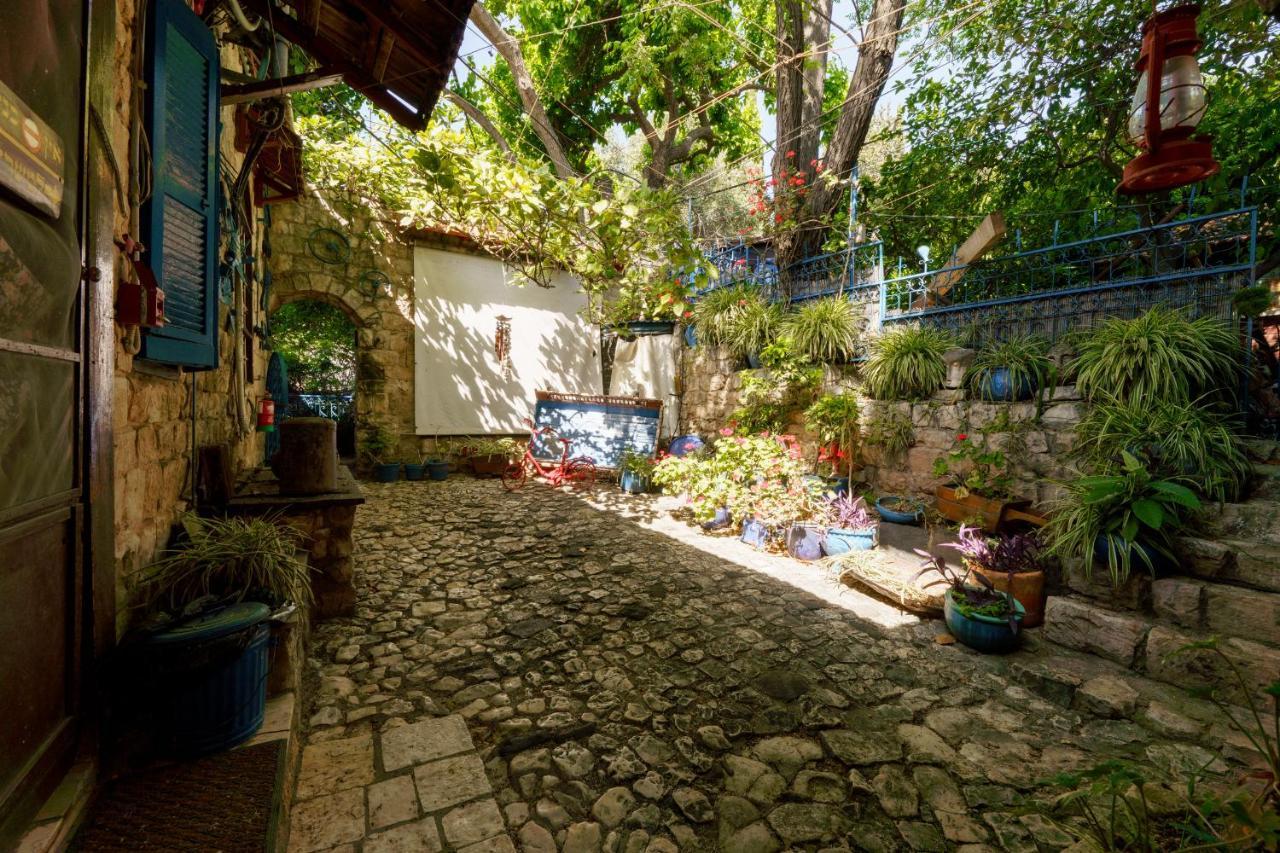 Villa Tehila - By V Club Chain Рош Пина Екстериор снимка