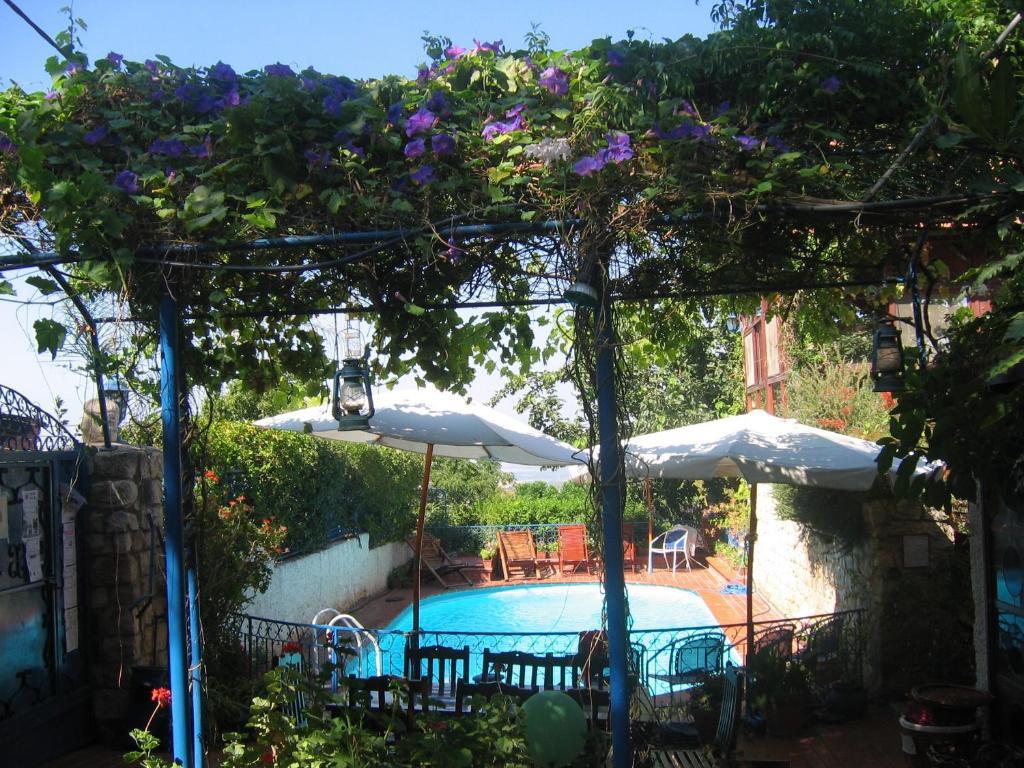 Villa Tehila - By V Club Chain Рош Пина Екстериор снимка